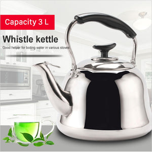 Thick Stainless Steel Kettle